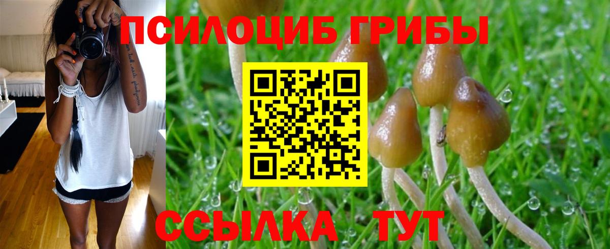 Казань  Галлюциногенные грибы Magic Shrooms  Вход с VPN 