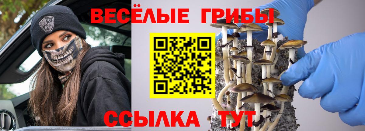 Псилоцибиновые грибы ЛСД Казань